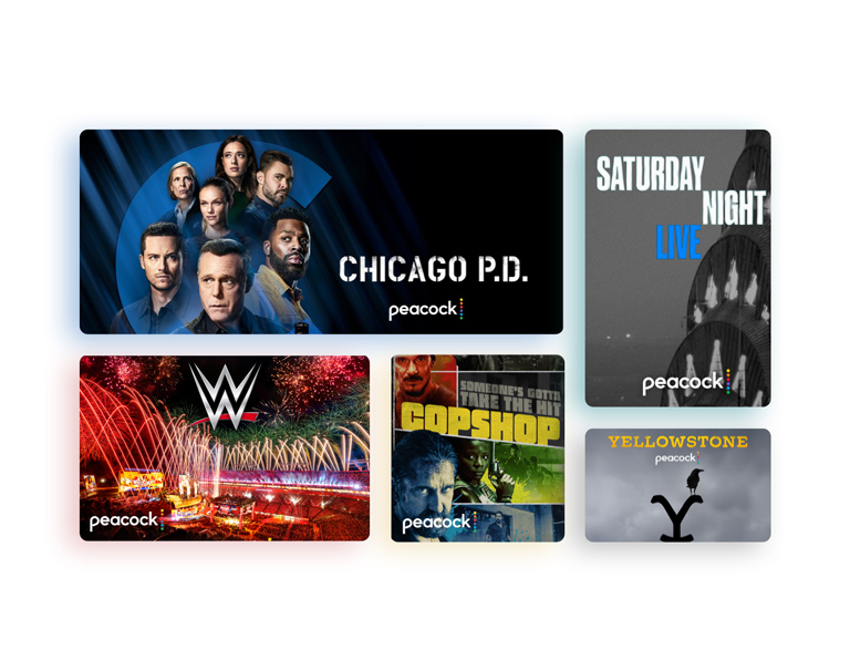 Chicago P.D., Saturday Night Live, WWE, Copshop, Yellowstone